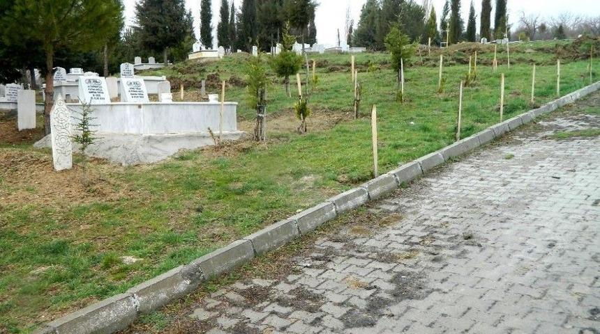 K&uuml;tahya&rsquo;da 8 Mezarlığa 4 Bin 433 Adet Fidan Dikildi