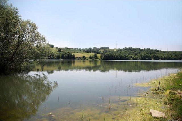 Sakarya’da Binlerce Dönüm Tarım Arazisi Suyla Buluşuyor 2