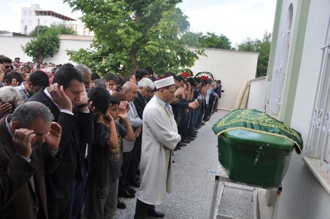 Halı D&uuml;nyası Yasta