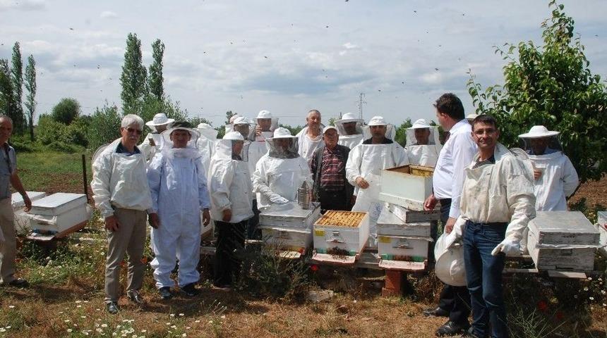 Bayrami&ccedil;&rsquo;te Ana Arı &Uuml;retim Kursu A&ccedil;ıldı
