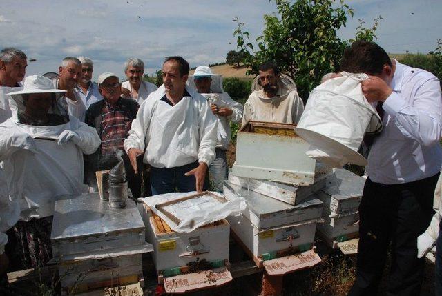 Bayramiç’te Ana Arı Üretim Kursu Açıldı