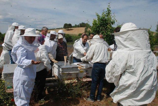 Bayramiç’te Ana Arı Üretim Kursu Açıldı