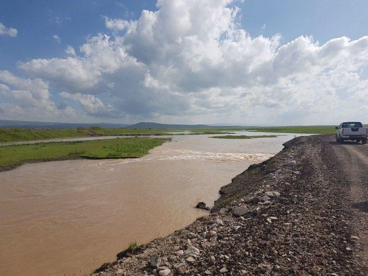 Patnos’ta Yağışlar Tarla Ürünlerini Etkiledi; Üreticiler Perişan G1