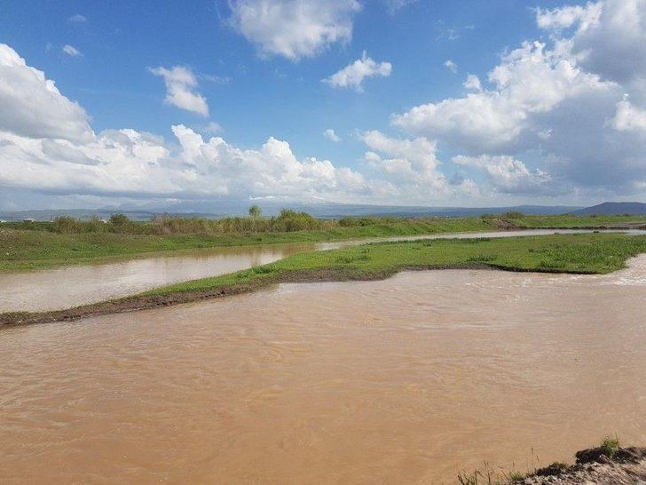 Patnos’ta Yağışlar Tarla Ürünlerini Etkiledi; Üreticiler Perişan G2