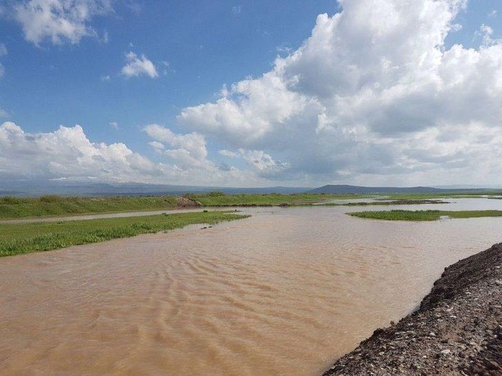 Patnos’ta Yağışlar Tarla Ürünlerini Etkiledi; Üreticiler Perişan G3