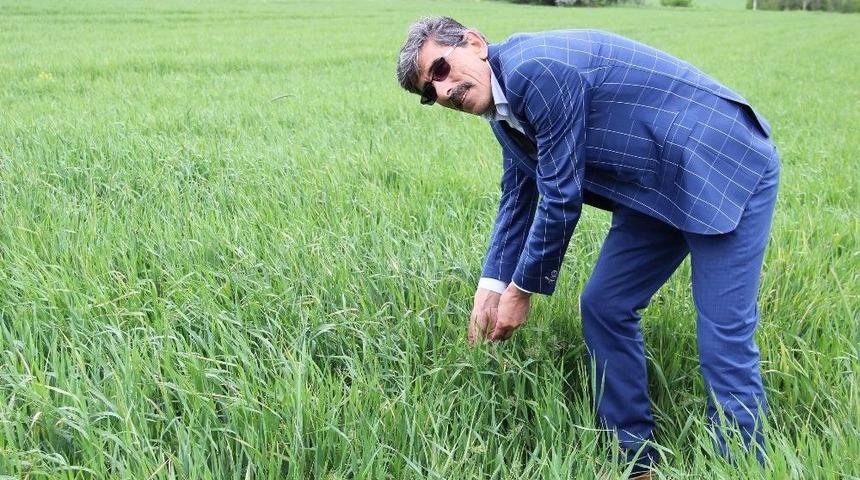 Yağmur &Ccedil;ift&ccedil;inin Y&uuml;z&uuml;n&uuml; G&uuml;ld&uuml;rd&uuml;.