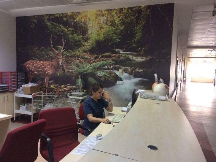 Tatildeymiş Gibi Hissettiren Hastane G4