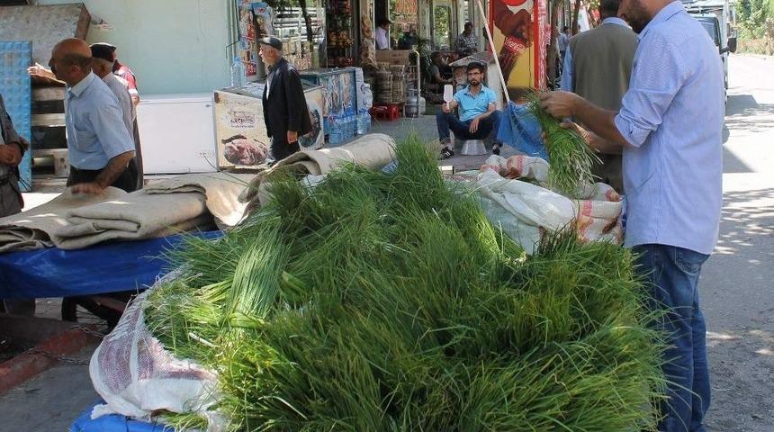 Siirt&rsquo;e &Ouml;zg&uuml; Peynir Otu Piyasaya &Ccedil;ıktı