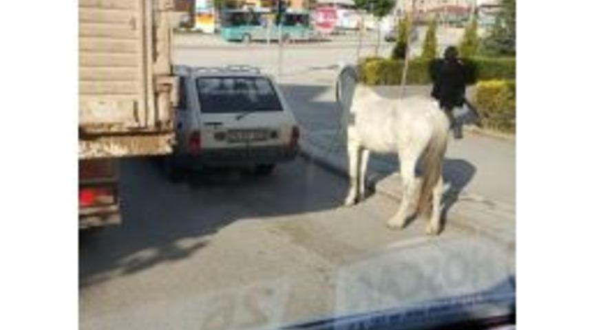 Eskişehir&rsquo;de Y&uuml;rek Sızlatan G&ouml;r&uuml;nt&uuml;