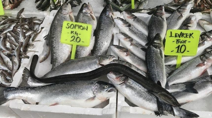 Karadenizde 1 Metre Uzunluğunda Yılan Balığı Yakalandı