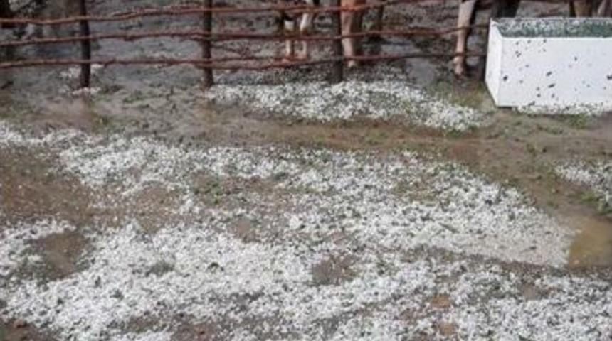 Malkara'da Dolu Ve Yağmurda 30 Tavuk Telef Oldu