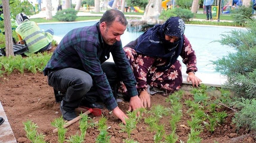 Sınırın Sıfır Noktasında &Ccedil;i&ccedil;ek Ekimi