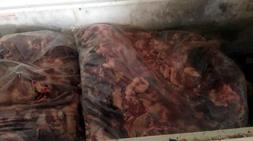 Aydın&rsquo;da 5 Ton Ka&ccedil;ak Domuz Eti Yakalandı