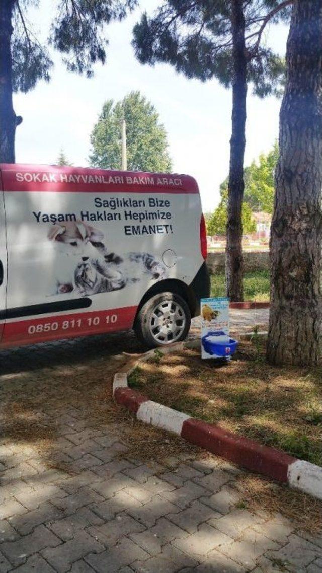 Ayvalık’ta Can Dostlara Otomatik Suluklar Kazandırılıyor