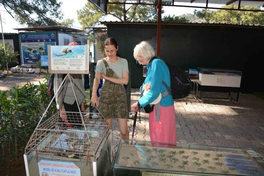 Deniz Kaplumbağaları M&uuml;zede Tanıtılıyor