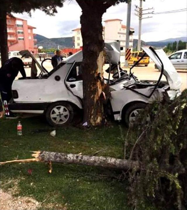 Otomobil Ağaca Çarptı, Sürücü Öldü