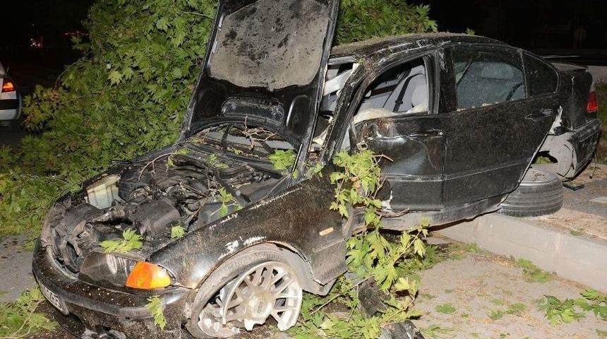 Ref&uuml;je &Ccedil;ıkan Otomobil Ağa&ccedil;lara &Ccedil;arparak Durabildi