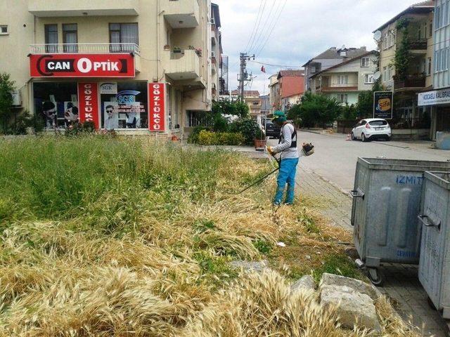 İzmit’te Mahalleler Tırpandan Geçiriliyor