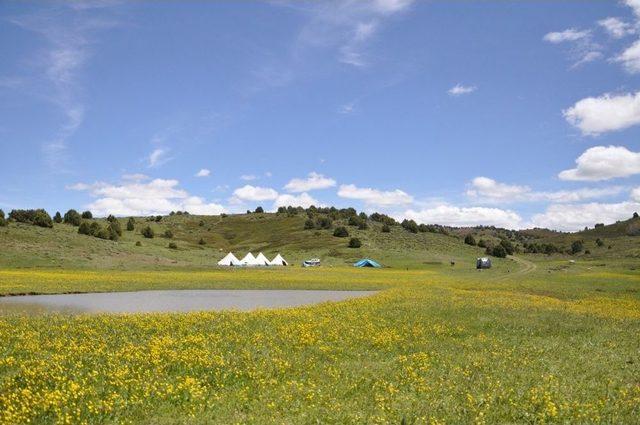 Tunceli’de Yayla Hayatı Başladı