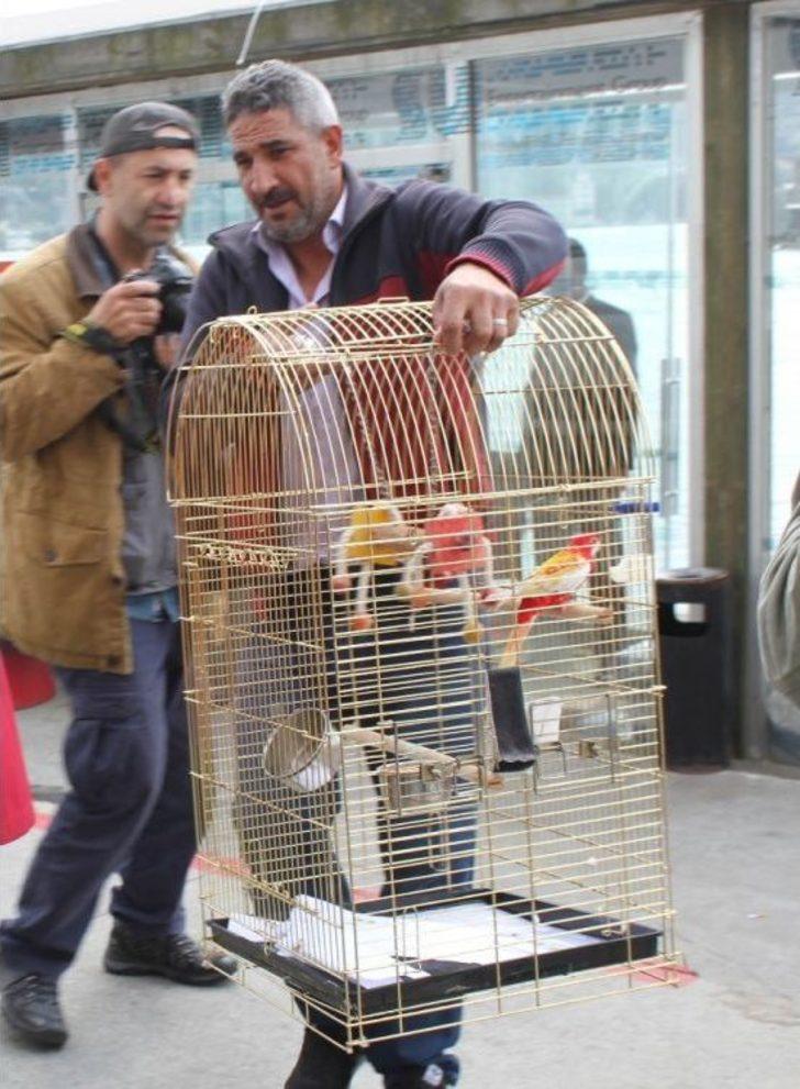 Galatasaray Adası’nın Papağanı "cimbom" Da Tahliye Edildi G3