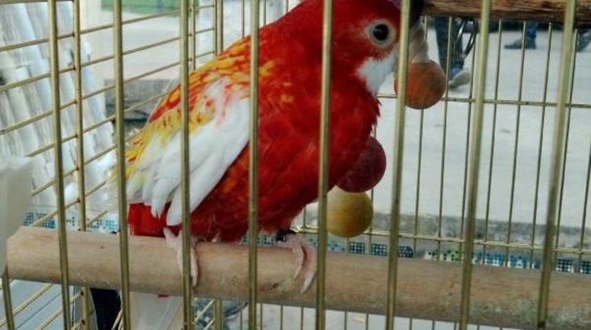 Yıkımdan "o" Da Nasibini Aldı