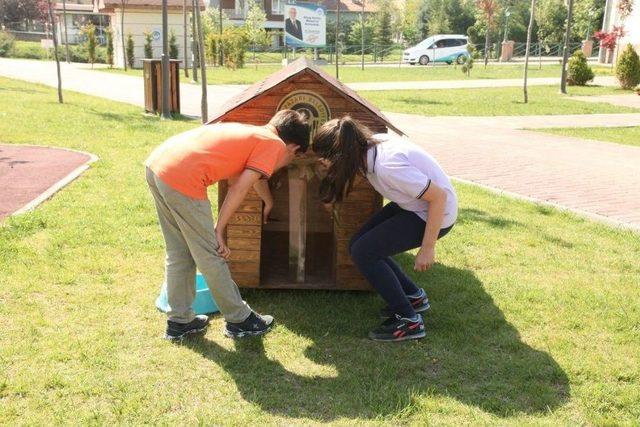 Çocuklar İstedi, Odunpazarı Yaptı