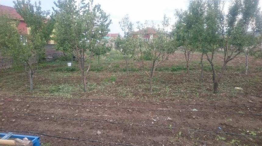 Niğde’de Tarım Arazilerini Dolu Vurdu