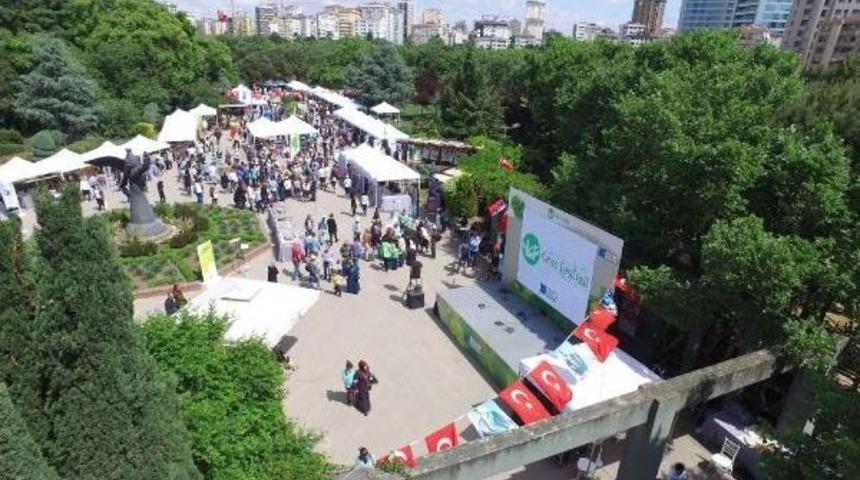 Kadık&ouml;y'de 3 G&uuml;n S&uuml;ren &Ccedil;evre Festivali Yapıldı
