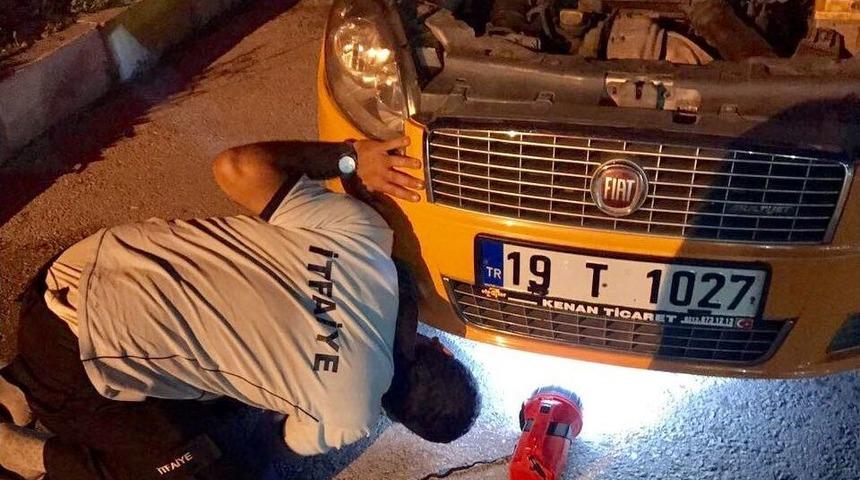 Aracın Motor Kısmına Giren Kediyi İtfaiye &Ccedil;ıkardı