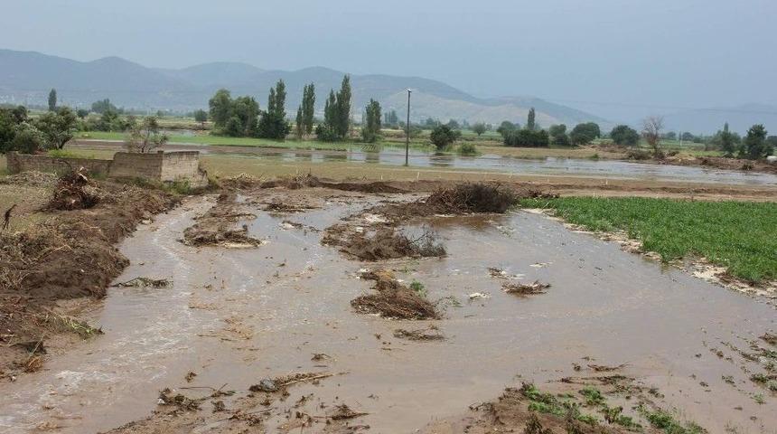 &Ccedil;ine&rsquo;de Korkulan Olay Başa Geldi