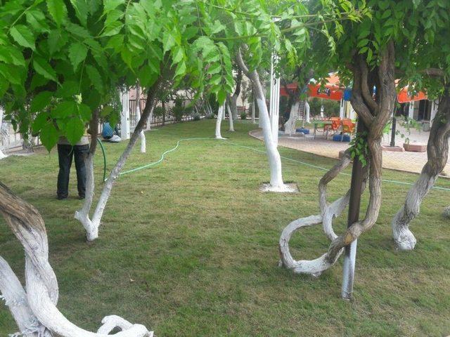 Kent Estetiğinden Manisa İlçelerinde Çalışma