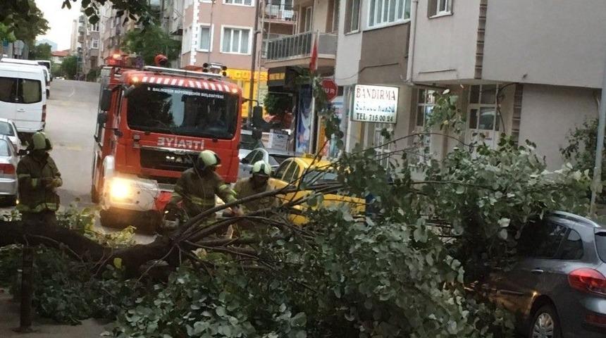 Sahur Vakti Devrilen Ağa&ccedil; Korkuttu