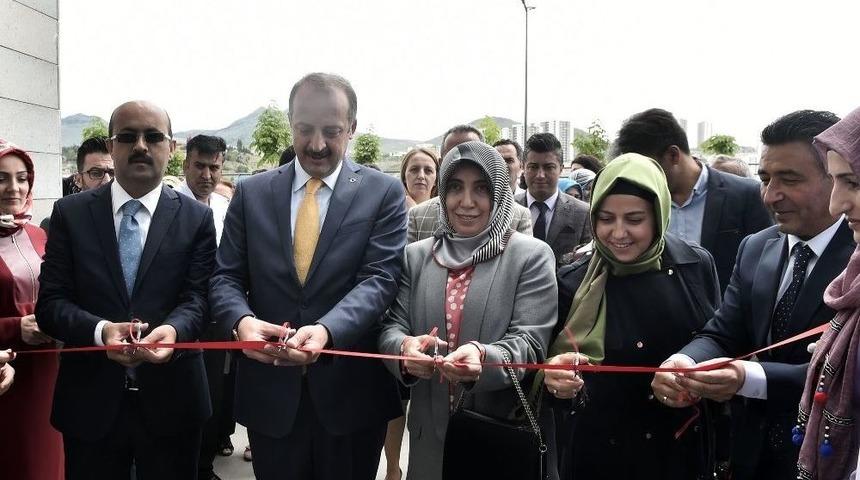 Kullanılmayan Eşyalar, D&ouml;n&uuml;ş&uuml;me Uğradı