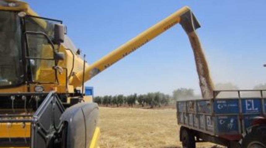 Bi&ccedil;erd&ouml;ver Kontrolleri Başlıyor