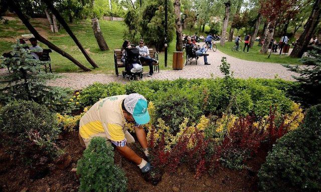 Kuğulupark’a 10 Bin Çiçek