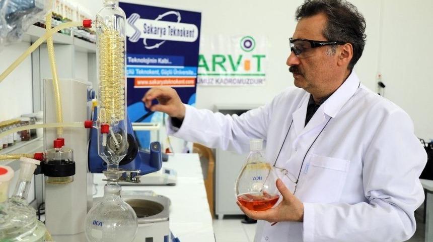 (&ouml;zel Haber) Atık Molek&uuml;le Bitkiler İ&ccedil;in Yeniden Hayat Verdiler