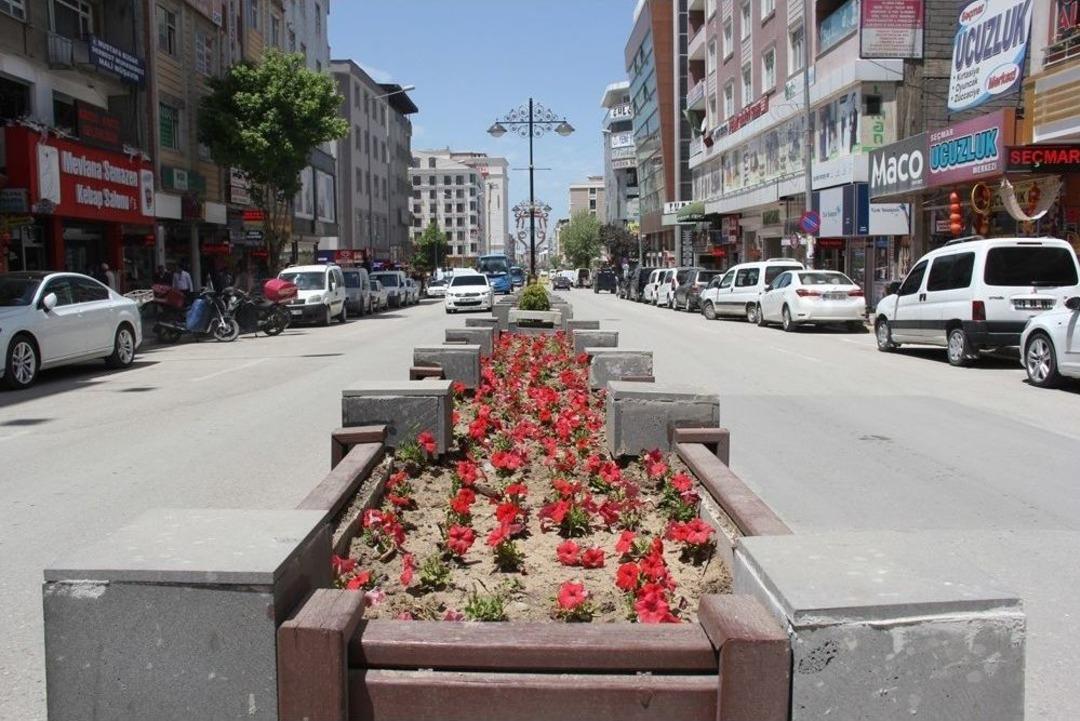 Van Mevsim &Ccedil;i&ccedil;ekleriyle Renklendi