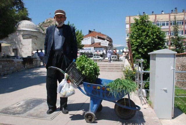 El Arabasıyla 20 Yıldır Yeşil Soğan, Maydanoz Satıyor