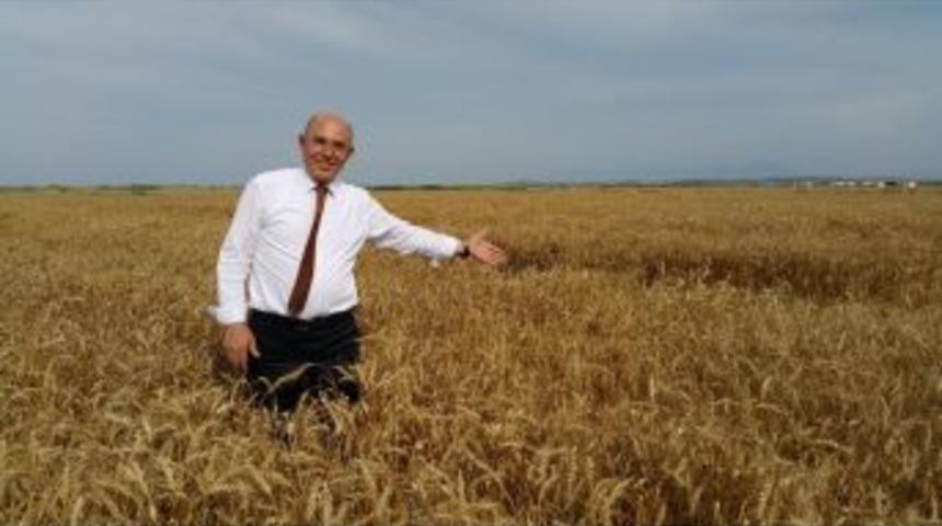 Mhp&rsquo;li Karakaya: &ldquo;fiyatı Erken A&ccedil;ıklayın, İthalat Yapmayın&rdquo;