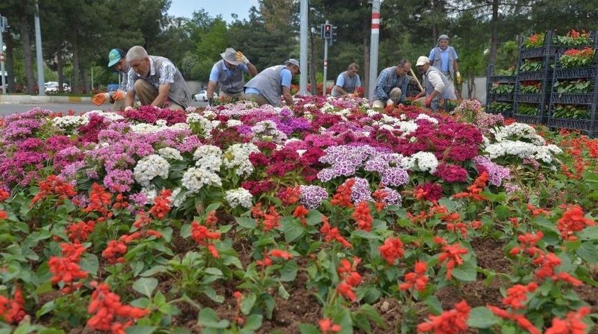 Diyarbakır&rsquo;da 1 Milyon Mevsimlik &Ccedil;i&ccedil;ek Dikiliyor