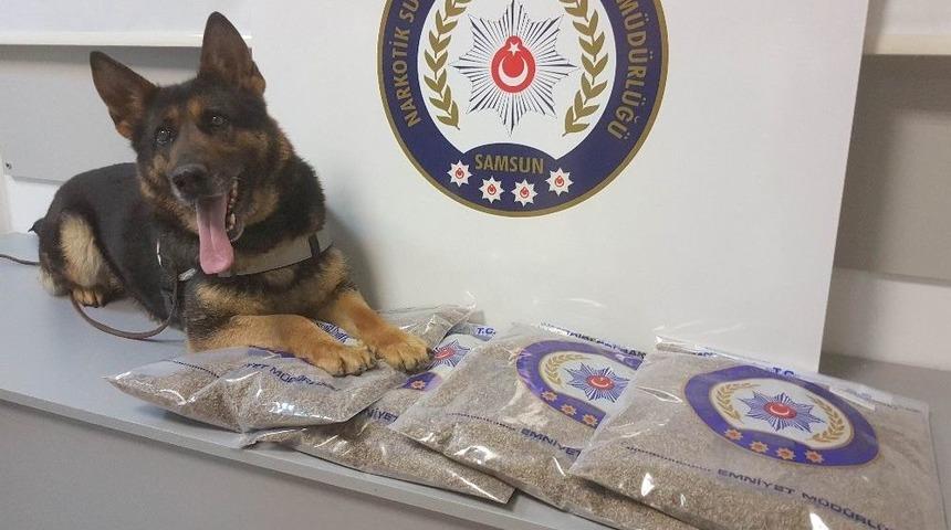 İstanbul&rsquo;dan Getirilen 4 Kilo Bonzai İle İlgili 5 G&ouml;zaltı