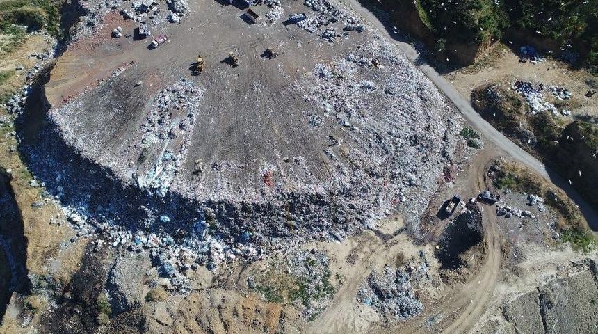 Turgutlu Vahşi &Ccedil;&ouml;p Alanından Kurtuluyor