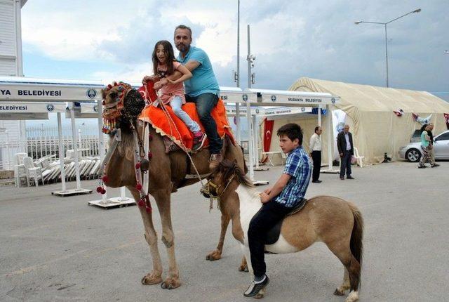 Manavgat’ın Develeri Mudanya Turunda