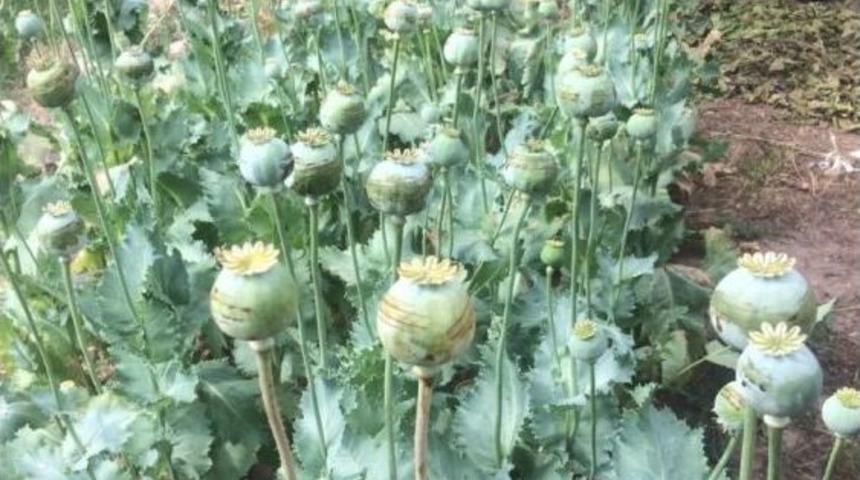 Manisa&rsquo;da Uyuşturucu Operasyonu