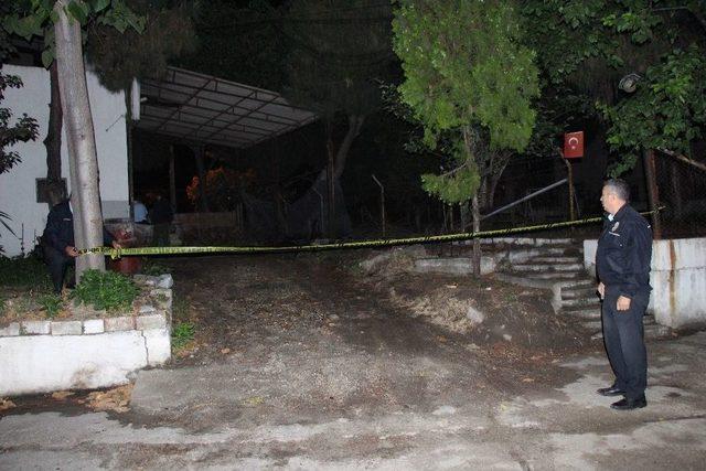 Dut Toplarken Çatıdan Düşen Muhasebe Müdürü Öldü