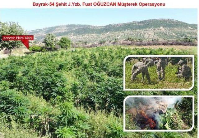 Diyarbakır'da 10 Bin Güvenlik Görevlisiyle 'pkk Ve Uyuşturucu'ya Büyük Operasyon