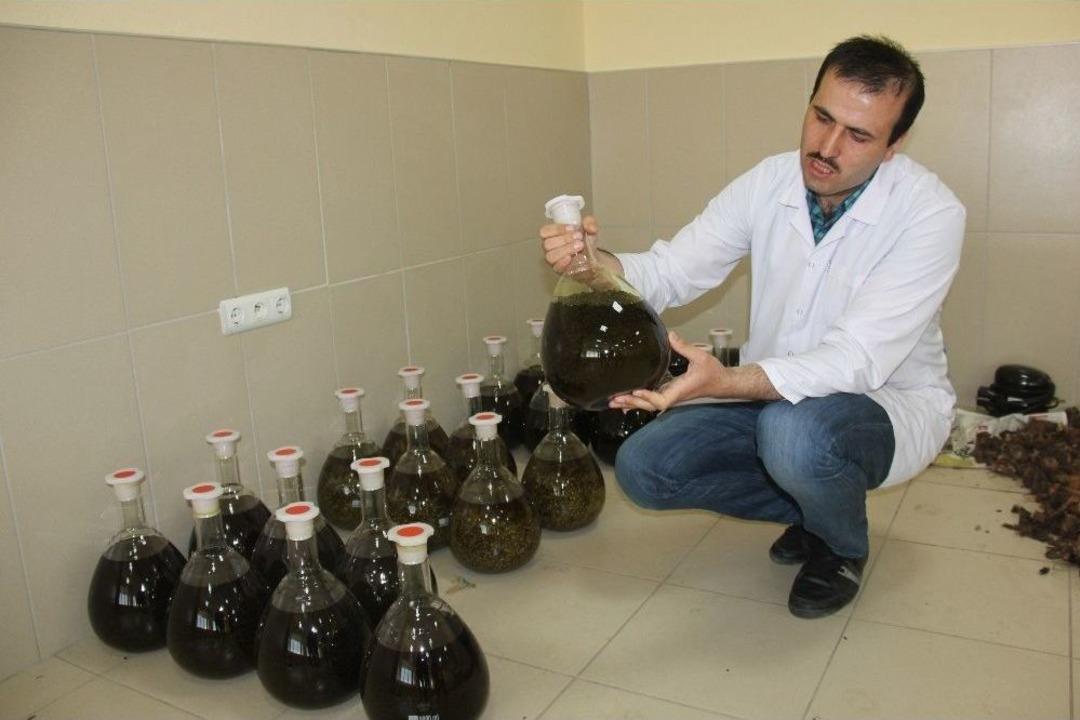 Işkın&rsquo;ın Doku, Organ Ve H&uuml;cre Hasarlarını Onardığı Tespit Edildi