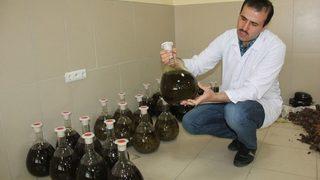 Işkın’ın Doku, Organ Ve Hücre Hasarlarını Onardığı Tespit Edildi