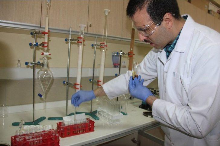 Işkın’ın Doku, Organ Ve Hücre Hasarlarını Onardığı Tespit Edildi G1