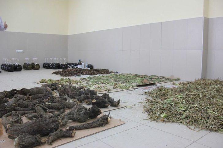 Işkın’ın Doku, Organ Ve Hücre Hasarlarını Onardığı Tespit Edildi G2